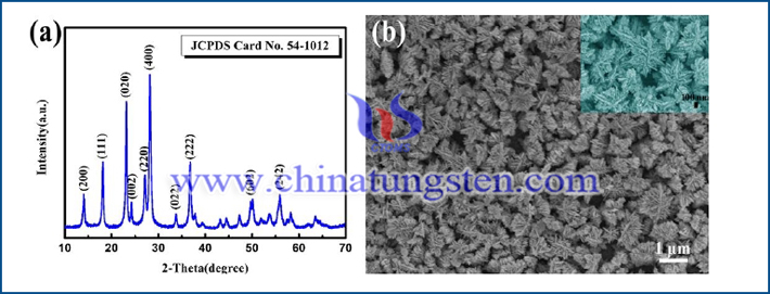 三氧化鎢納米盤的XRD圖（a）以及場發射掃描電子顯微鏡照片（b）