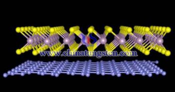 數碼相機鋰電池負極用二硫化鎢納米片圖片