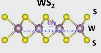 鋰電芯用WS2納米片圖片