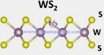 燒結法製備N摻雜WS2納米片圖片