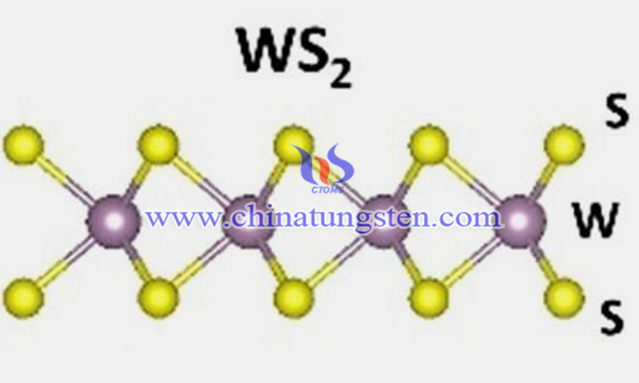 燒結法製備N摻雜WS2納米片圖片