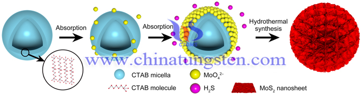 微絨球結構增强MoS2光催化性能圖片