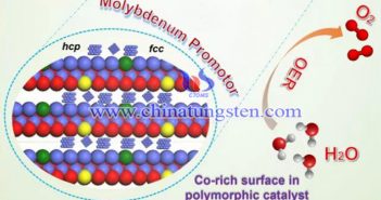 含鉬多晶鈷催化劑對OER反應的影響圖片