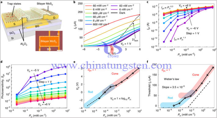 MoS2光電晶體管的光强依賴性特性圖片