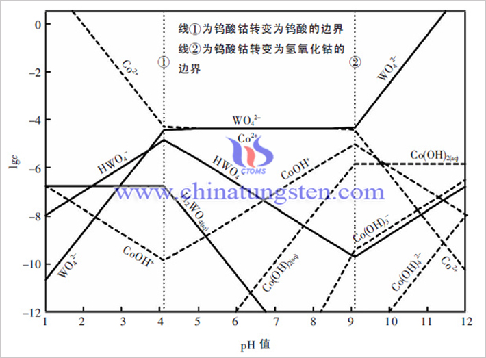 Co-W-H2O體系各溶解組分的lgc-pH 圖