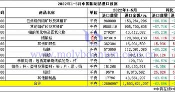 2022年1-5月中國鉬製品進口數據圖片