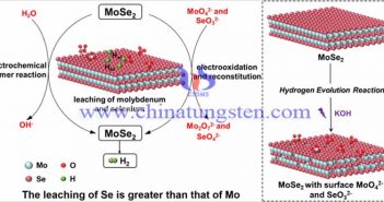 MoSe2在鹼性析氫反應中的應用圖片（圖源：Advanced Energy Materials）