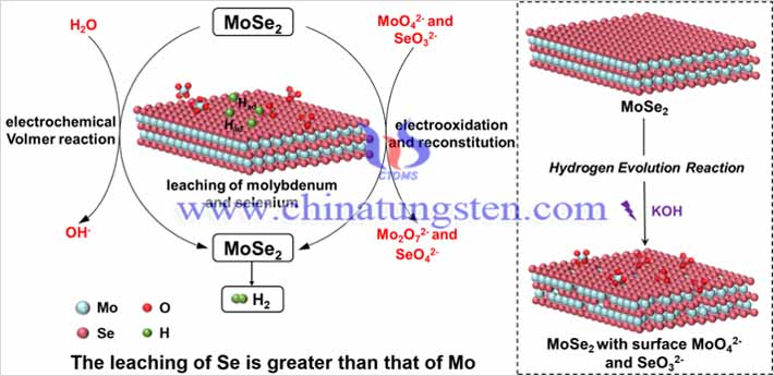 MoSe2在鹼性析氫反應中的應用圖片（圖源：Advanced Energy Materials）