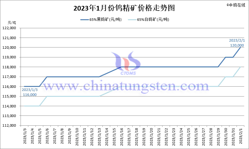 2023年1月份鎢精礦價格走勢圖