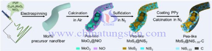 豆莢狀MoS2@NiS1.03-Carbon异質中空纖維製備示意圖（圖源：Songwei Gao/Carbon Energy）