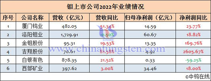 鉬上市公司2022年業績匯總