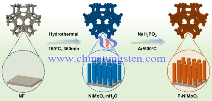 P-NiMoO4的合成示意圖（圖源：Small Structures）