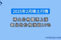 2025年2月稀土行情如何